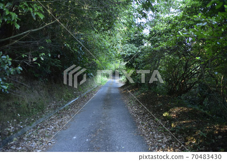 Tsukikawa Bridge 70483430