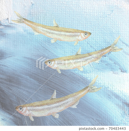 Smelt swimming in the water Mio Koyo Seafood Material Background [Watercolor] 70483443