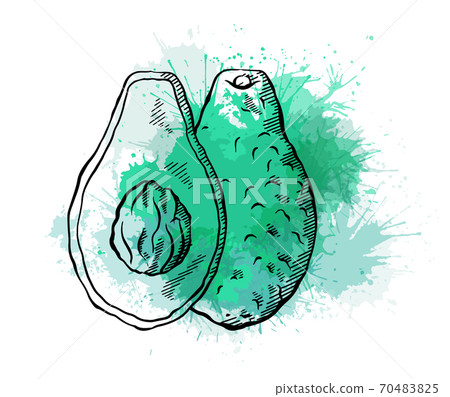 Outline avocado with green watercolor splashes. Front view. Ingredient for keto diet and guacamole. Vector line art vegetables Outline avocado with green watercolor splashes. Front view. Ingredient for keto diet and guacamole. Vector line art vegetables 70483825