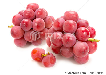 妮娜女王葡萄 妮娜女王葡萄 70483894