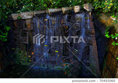 岐阜縣岐阜縣大垣市城市景觀大垣市城市景觀[十月] 70485060