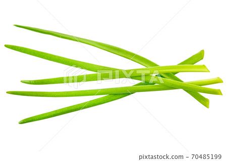 green onion with clipping path 70485199