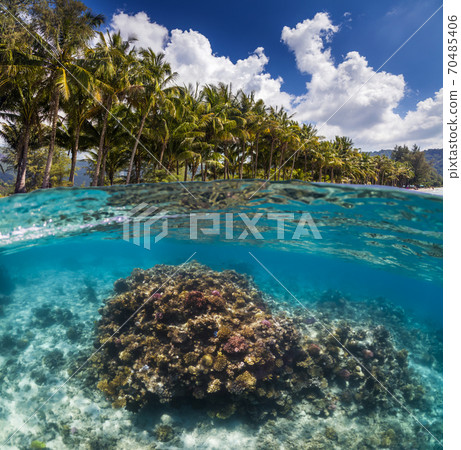 Underwater Scene With Reef And Tropical Fish 70485406