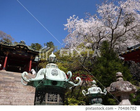 Kunozan Toshogu Shrine, Shizuoka Prefecture Kunozan Toshogu Shrine, Shizuoka Prefecture 70486702