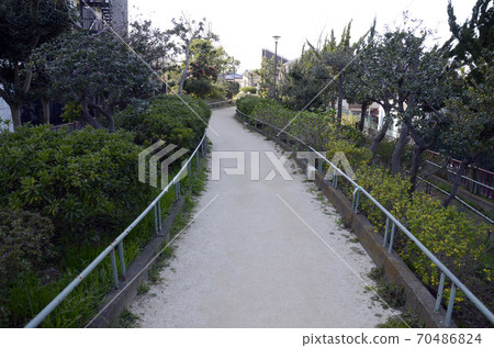 Park's promenade 70486824