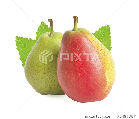 Sweet ripe pears an isolated on white background Sweet ripe pears an isolated on white background 70487397