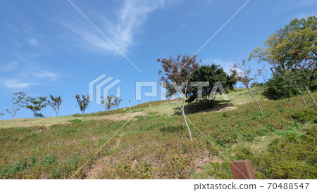 巨濟雪皮蘭 70488547