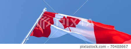 3D rendering of the national flag of Canada waving in the wind 3D rendering of the national flag of Canada waving in the wind 70488667