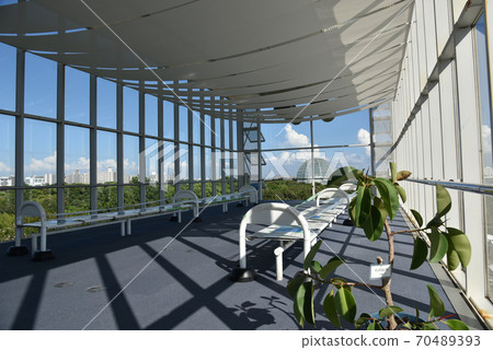 Kasai Rinkai Park Crystal View 70489393