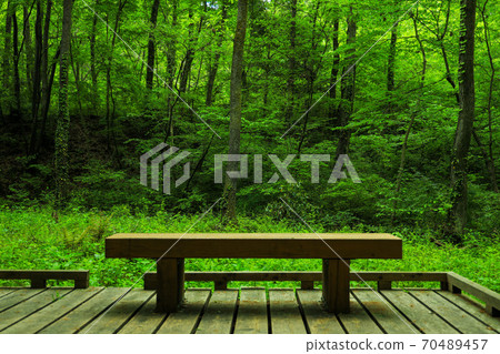 深綠色長凳 70489457