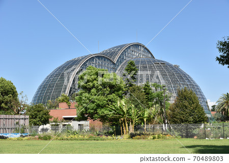 夢幻島熱帶博物館公園 70489803