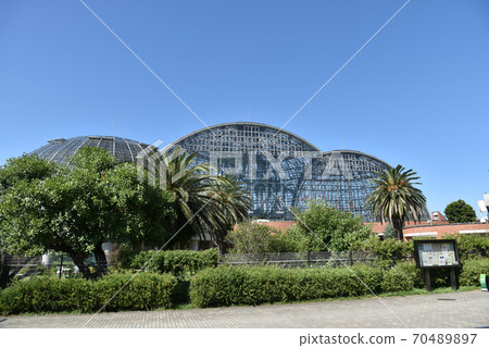 Yumenoshima Tropical Museum Yumenoshima Tropical Museum 70489897