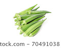 大倉是為腸道環境做好準備的健康食品 70491038