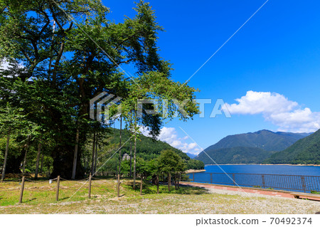 岐阜縣/高山市/夏佐川櫻 70492374