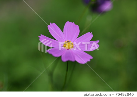 宇宙的特徵 宇宙的特徵 70492840