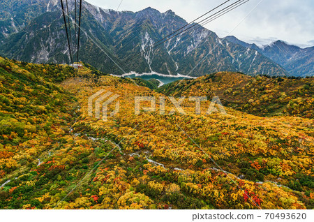 Tateyama Kurobe Alpine Route: A ropeway overlooking the Kurobe Dam and a spectacular view of the autumn leaves from Daikanbo Tateyama Kurobe Alpine Route: A ropeway overlooking the Kurobe Dam and a spectacular view of the autumn leaves from Daikanbo 70493620