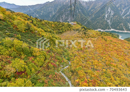 Tateyama Kurobe Alpine Route: A ropeway overlooking the Kurobe Dam and a spectacular view of the autumn leaves from Daikanbo Tateyama Kurobe Alpine Route: A ropeway overlooking the Kurobe Dam and a spectacular view of the autumn leaves from Daikanbo 70493643