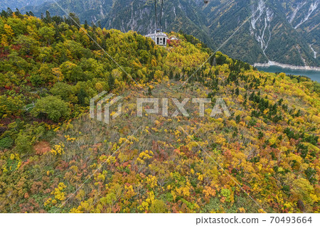 Tateyama Kurobe Alpine Route: A ropeway overlooking the Kurobe Dam and a spectacular view of the autumn leaves from Daikanbo Tateyama Kurobe Alpine Route: A ropeway overlooking the Kurobe Dam and a spectacular view of the autumn leaves from Daikanbo 70493664
