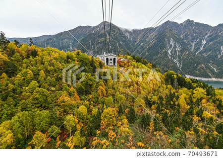Tateyama Kurobe Alpine Route: A ropeway overlooking the Kurobe Dam and a spectacular view of the autumn leaves from Daikanbo 70493671