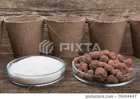 In the foreground there is a hydro gel and expanded clay in glass plates, a concept In the foreground there is a hydro gel and expanded clay in glass plates, a concept 70494447