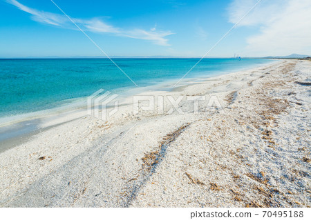 Blue sea in Stintino shoreline 70495188
