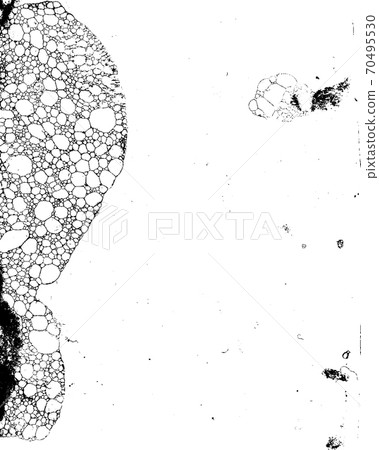 Dirty grunge background 44 Dirty grunge background 44 70495530