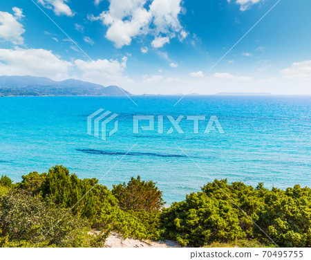 Porto Giunco coastline in springtime Porto Giunco coastline in springtime 70495755