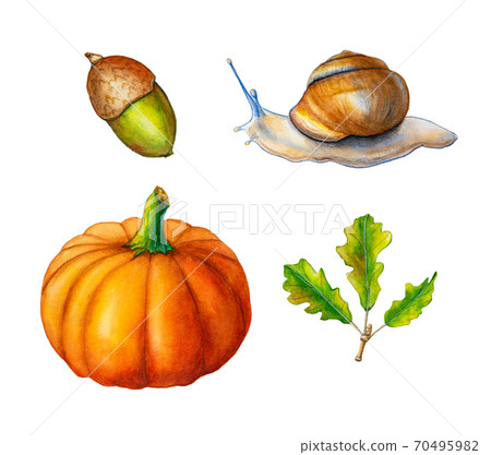 Autumn watercolors 70495982