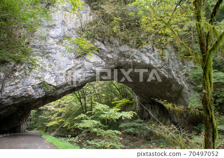 天然的石灰石大橋,橫跨著著名的帝雪河(帝雪峽) 天然的石灰石大橋,橫跨著著名的帝雪河(帝雪峽) 70497052
