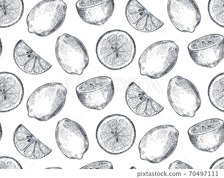 Vector seamless pattern with hand drawn fresh... - Stock Illustration ...