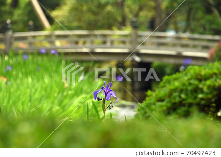 Ishikawa Prefecture Kenrokuen Ishikawa Prefecture Kenrokuen 70497423