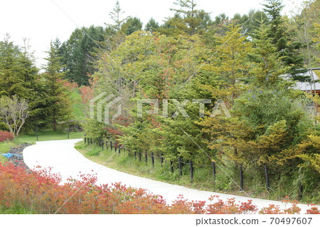 輕井澤的秋天 70497607