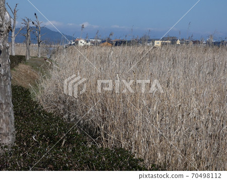 Yoshihara of the lake of the west Yoshihara of the lake of the west 70498112