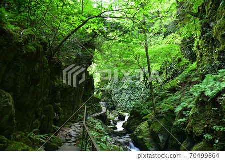 Yamanori Valley and beautiful forest Maniwa City, Okayama Prefecture Yamanori Valley and beautiful forest Maniwa City, Okayama Prefecture 70499864