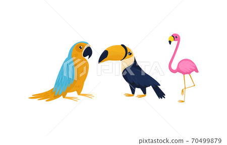 Bright Exotic Birds with Pink Flamingo and Parrot Vector Set 70499879