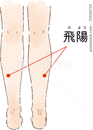 鍋/戰孔“ Hiyo”的手繪風格插圖 70500724