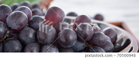 Grape fruit fresh ぶどう Grape fruit fresh ぶどう 70500948