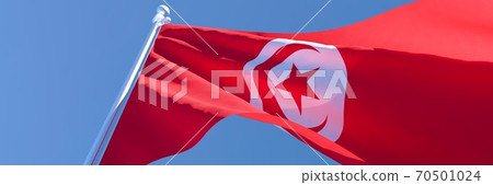 3D rendering of the national flag of Tunisia waving in the wind 70501024