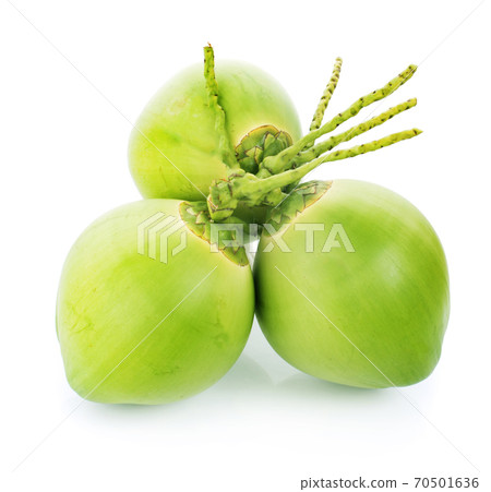 green coconut an isolated on white background green coconut an isolated on white background 70501636