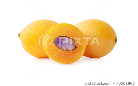 Marian plum fruit isolated on white background 70501968