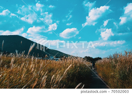 受秋風的邀請爬山 70502003