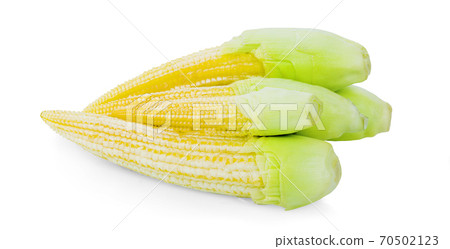 baby corn isolated on white background baby corn isolated on white background 70502123
