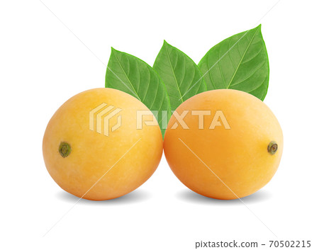 Marian plum fruit isolated on white background 70502215