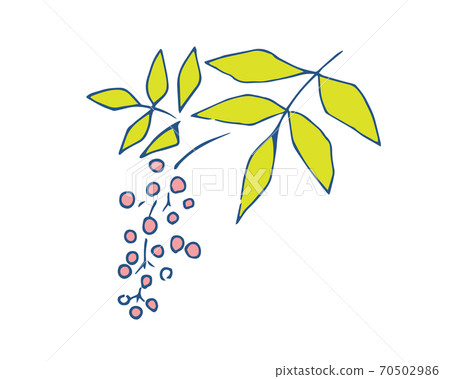 手寫的風格:南天的插圖 手寫的風格:南天的插圖 70502986