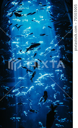 聚光燈插入深海 70503005