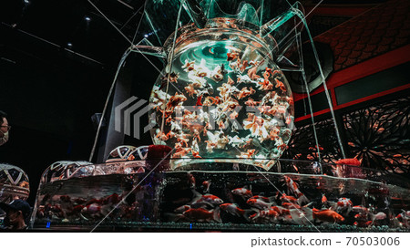 大金魚碗 70503006