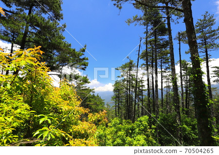 羅馬縱走 有百岳景觀的中級山 羅馬縱走 有百岳景觀的中級山 70504265