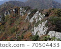 岩層和秋天的落葉 70504433