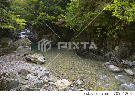 岩手峽谷小坂瀑布之旅中的小坂河(岐阜縣宜羅市) 岩手峽谷小坂瀑布之旅中的小坂河(岐阜縣宜羅市) 70505268