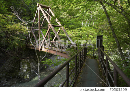 Promenade tour of Kosaka Falls (Gero City, Gifu Prefecture) 70505299